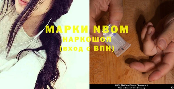 стафф Сосновоборск
