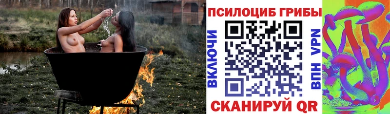 наркотики  Искитим  Галлюциногенные грибы прущие грибы 