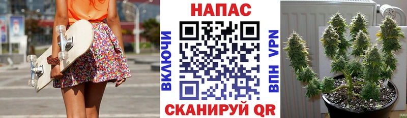 Канабис конопля Искитим